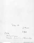 Historisches Foto (Rückseite) von Abyssophthalmus mirus (Moericke, 1889) (NHMW-AFW-GEO-BACHMAYER-FOTO-1990-0041-2316)